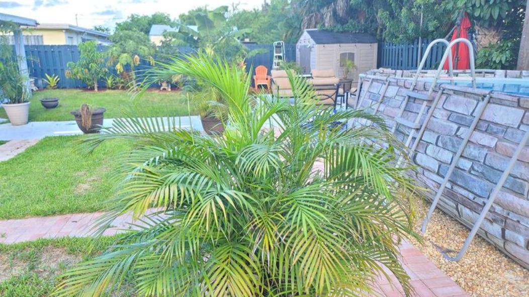 Palm Springs 3-Bedroom 2-Bath 5 Miles To The Beach ليك وورث المظهر الخارجي الصورة